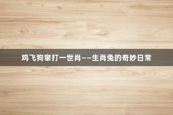 鸡飞狗窜打一世肖——生肖兔的奇妙日常