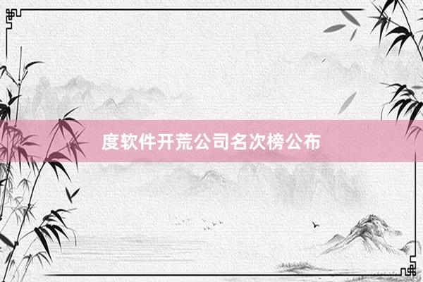 度软件开荒公司名次榜公布